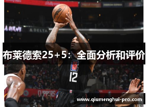 布莱德索25+5:全面分析和评价